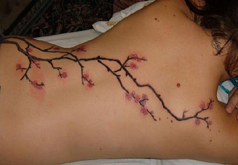 cherry tree tattoo side. cherry tree tattoos